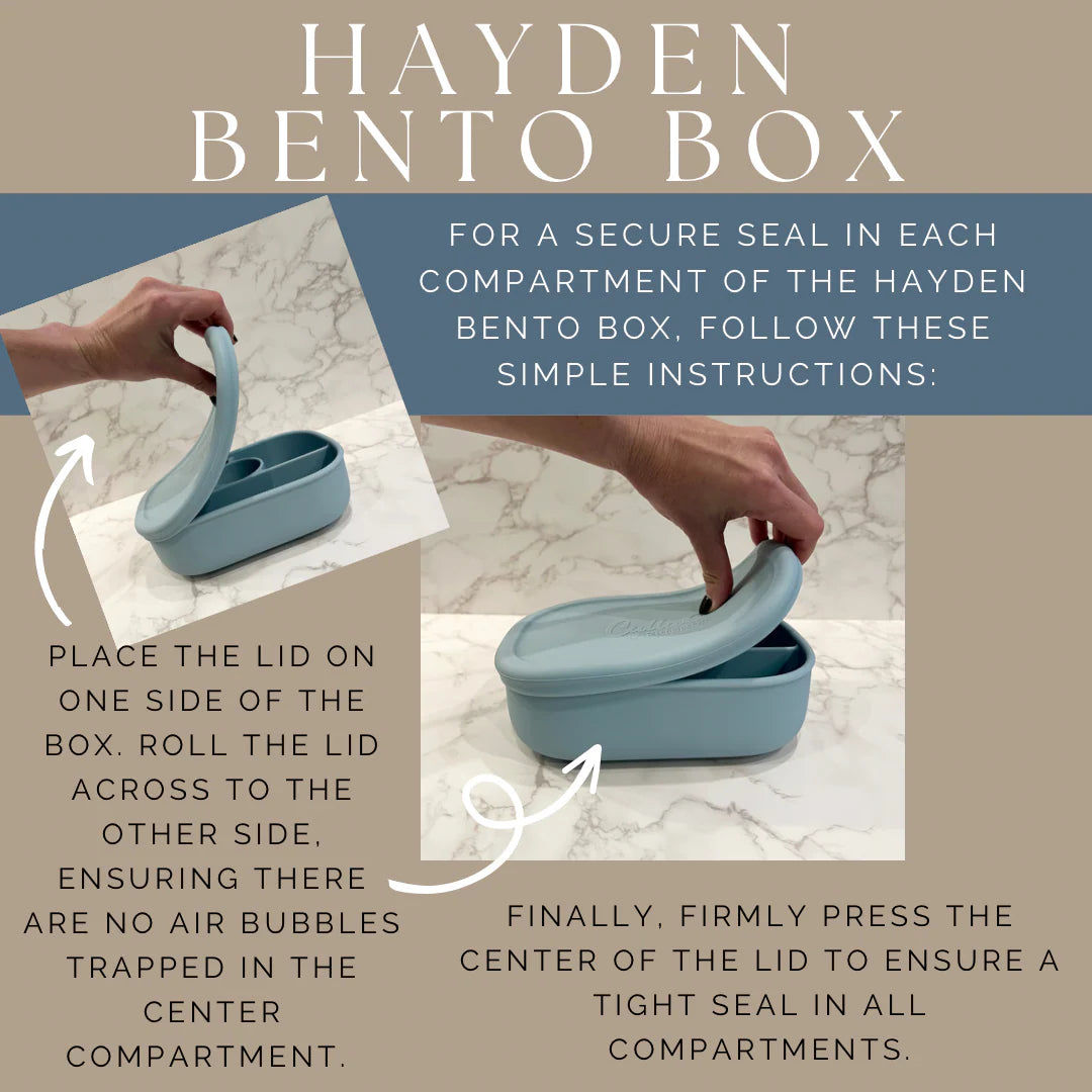 Hayden Bento Box by Calla & Friends